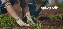 خانه و باغچه